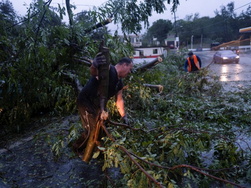 People clear a road from a fallen tree after Hurricane Fiona affected the area in Yauco, Puerto Rico, on September 18, 2022.