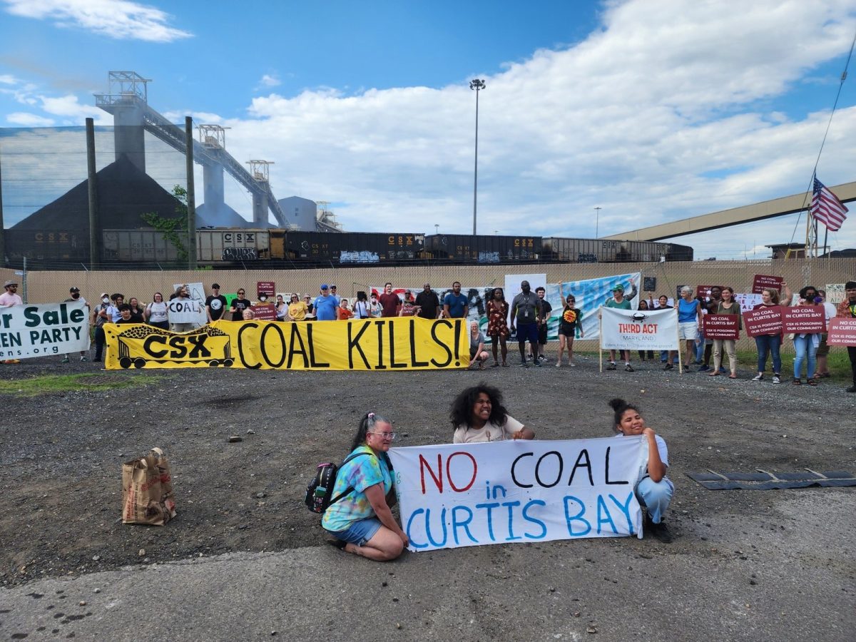 Scenes from a sacrifice zone: South Baltimore residents fight back against industrial pollution