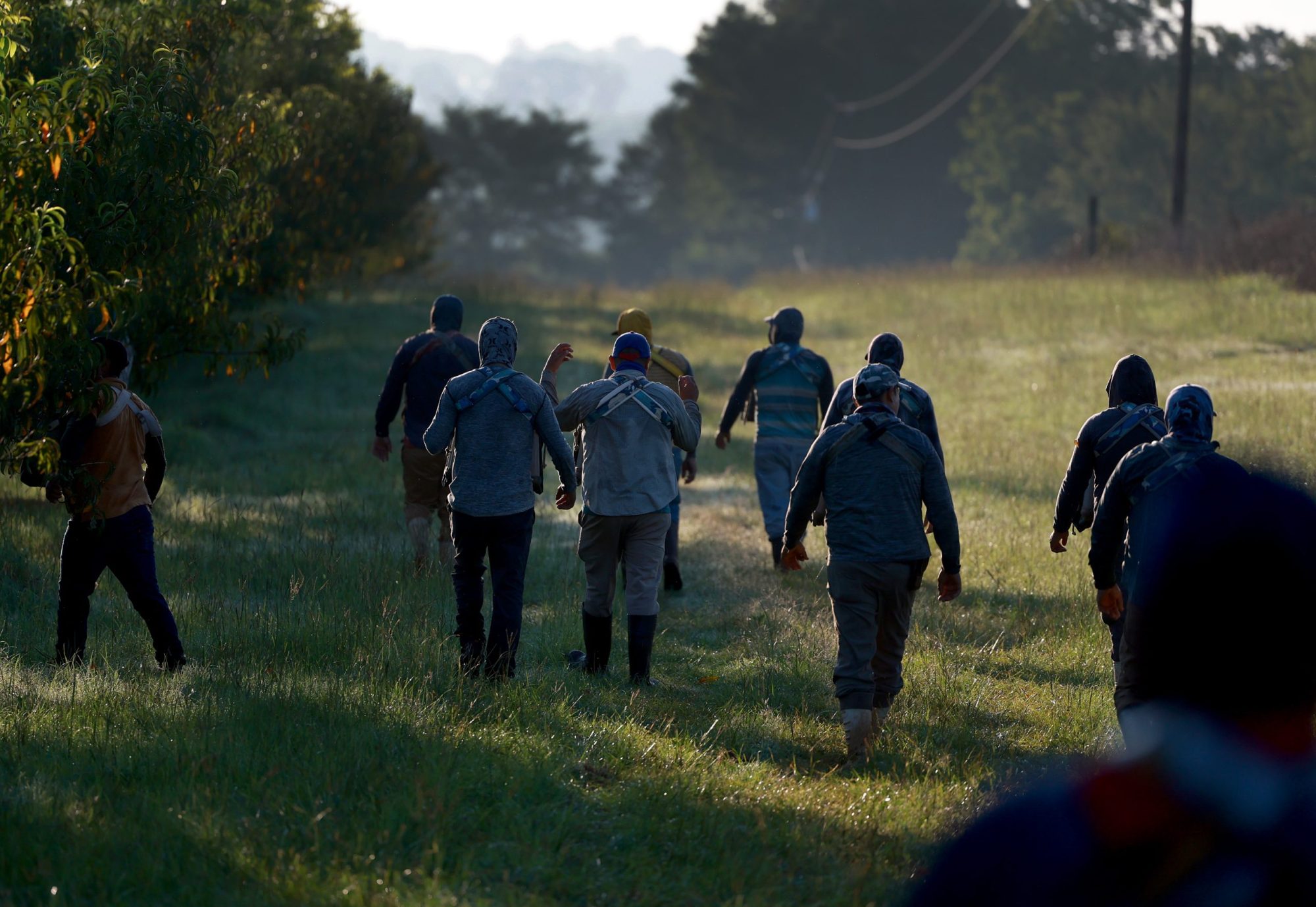 Workers prepare to pick peaches from the last crop of the season off the trees at Pearson Farm on July 24, 2023 in Fort Valley, Georgia. Photo by Joe Raedle/Getty Images