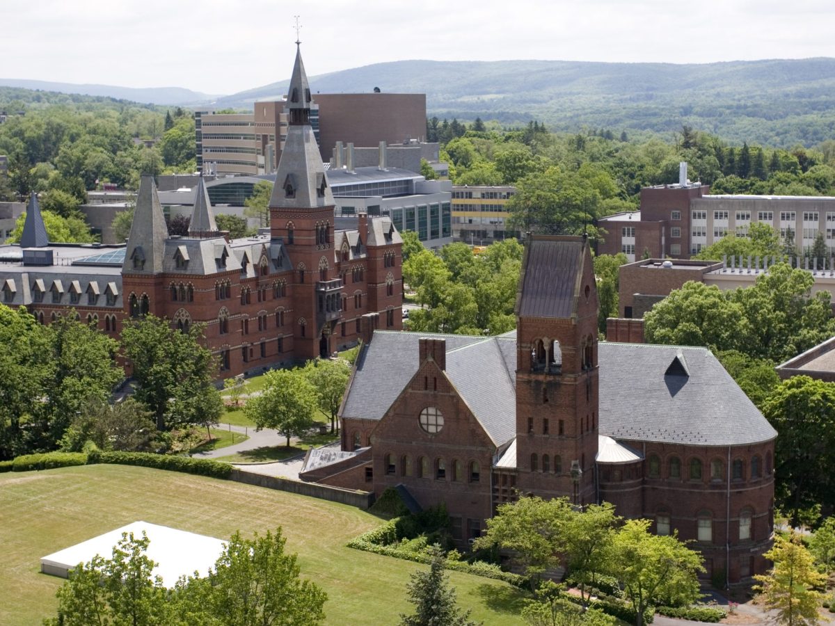 Cornell is about to deport a student over Palestine activism