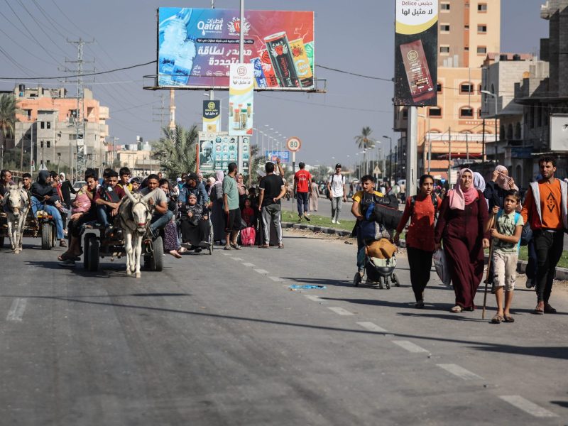 Palestinian families displaced from northern Gaza to southern Gaza are seen on Salah al-Din Street, in Gaza on November 8, 2023. Photo by Loay Ayyoub/For The Washington Post via Getty Images