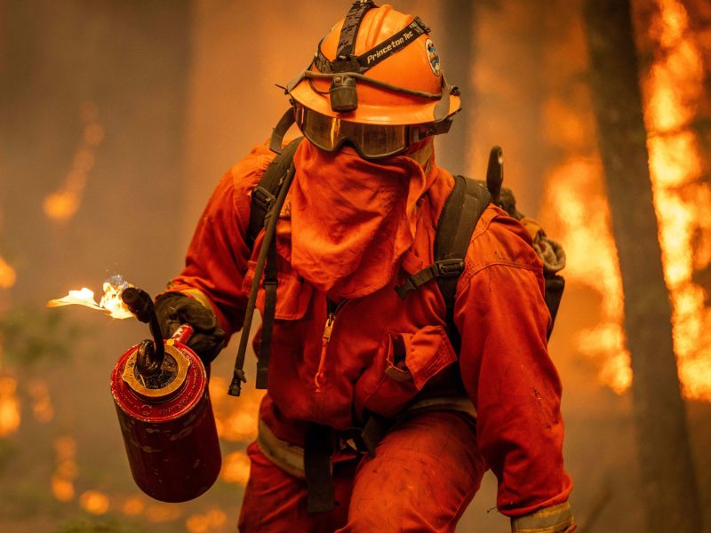 An inmate firefighter uses a drip torch as the Park Fire burns on August 7, 2024 in Mill Creek, California. Photo by Ethan Swope/Getty Images