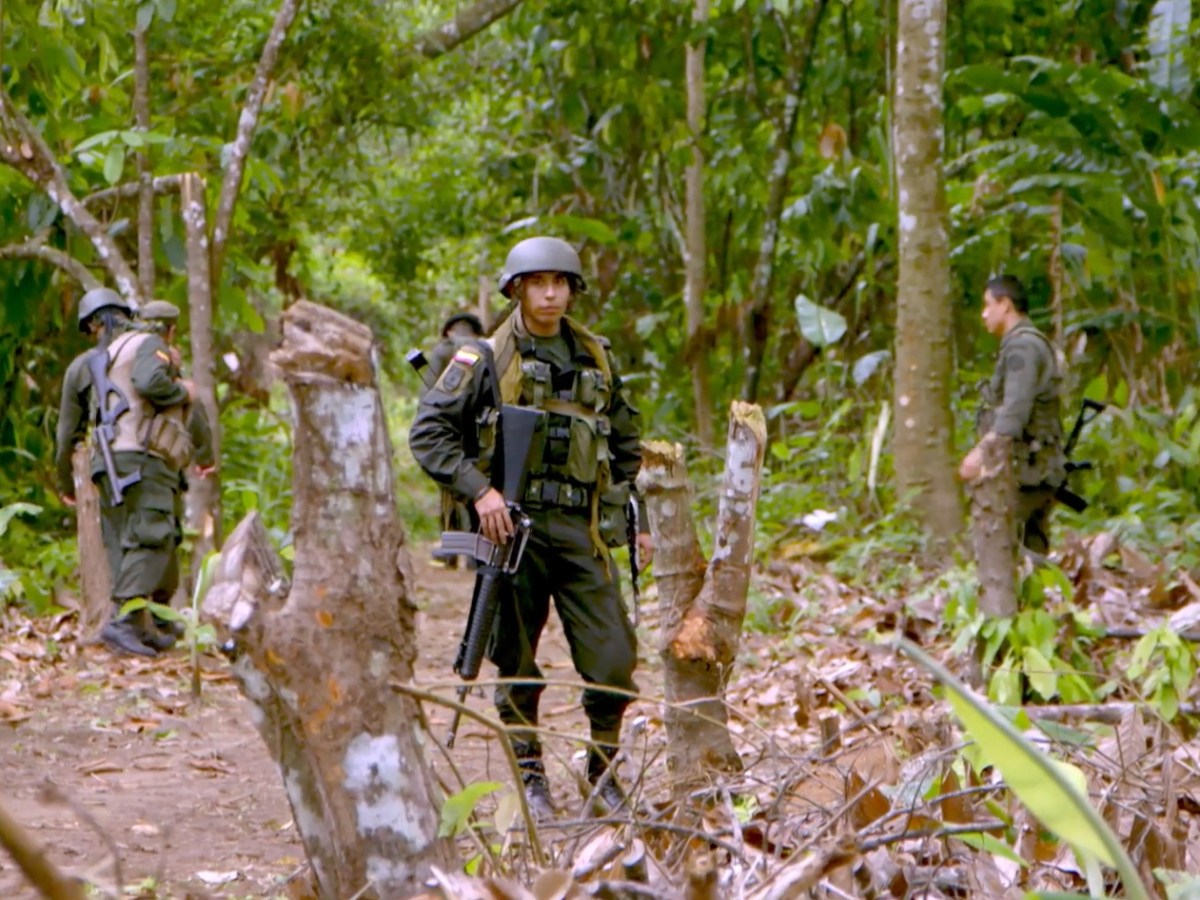 Farmers in Colombia fight multinational oil companies to get their land back