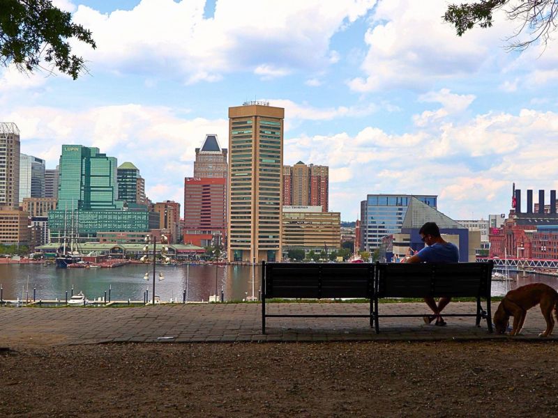 Photo of Baltimore's Inner Harbor by Taya Graham