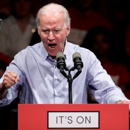 Biden: If Dems Win Congress, More Republicans Will ‘Vote Their Conscience’ Against Trump