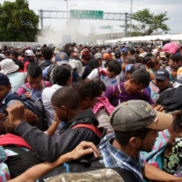 Immigration Expert Jessica Vaughan: Four Ways Trump Can Solve Migrant Caravan Crisis