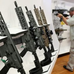 Poll: Majority of Americans Oppose ‘Assault Rifles’ Ban