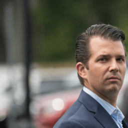 Don Jr: Adam Schiff Is the ‘Leader of the Tinfoil Hat Brigade’ — ‘Flagrantly Lying to the American People’