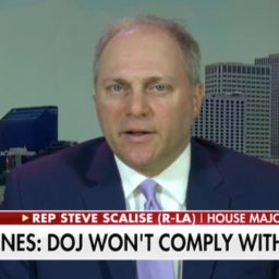 Scalise: ‘Pelosi’s Poodles’ Following Along as Dem Party Moves Further Left