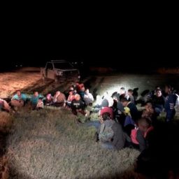 250 Migrants Apprehended in Remote Texas Border Sector