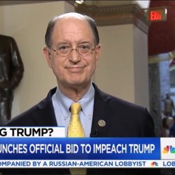 Dem Rep. Sherman: Impeachment ‘the Only Thing I Can Get on TV to Talk About’