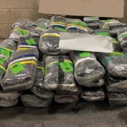 $18 Million in Meth, Heroin, Cocaine Seized at Texas Border Crossing