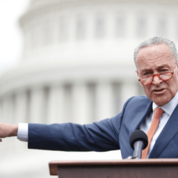 Schumer: If Trump Commits High Crimes ‘In Three Months, They Should Impeach Him Again’