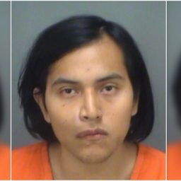 Illegal Alien Arrested for Beheading Cat, Parading Severed Head on Stick