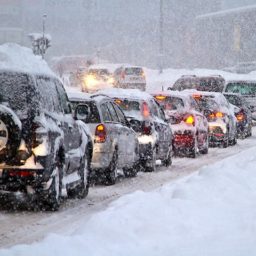 Health Workers Stuck in the Snow with Expiring Vaccines Vaccinated Fellow Drivers