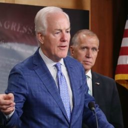 John Cornyn Introduces National Concealed Carry Reciprocity in Senate
