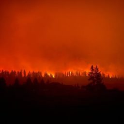 VIDEO: Oregon Wildfire Creates ‘Fire Clouds’ Above the Blaze