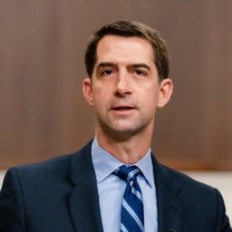 Tom Cotton: GOP Must Rebuild Economy for Working Class Americans with Less Immigration, More Labor Protections