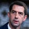 Cotton plans to block DC from allowing illegal aliens to vote: ‘Insane policy’