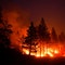 One year of California wildfires negated 18 years of emissions reductions from state climate policies: study